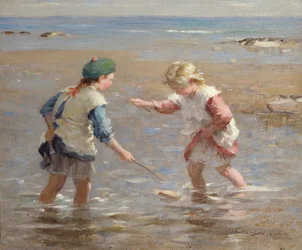 Playing in the Shallows